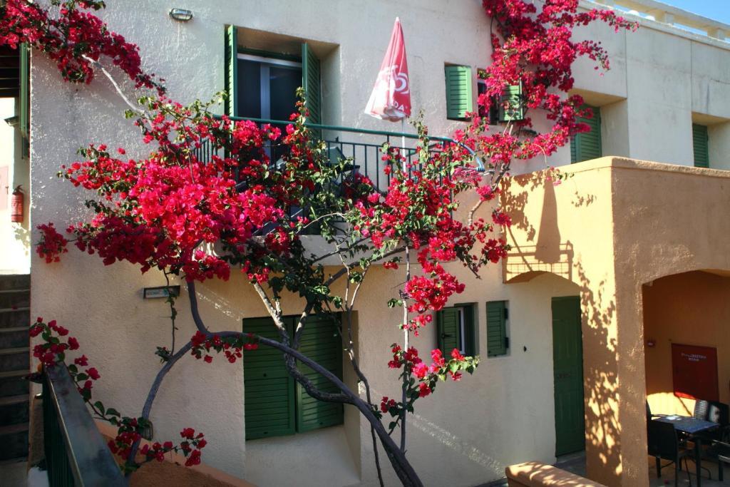 Hotel Scorpios Nydri  Exterior foto